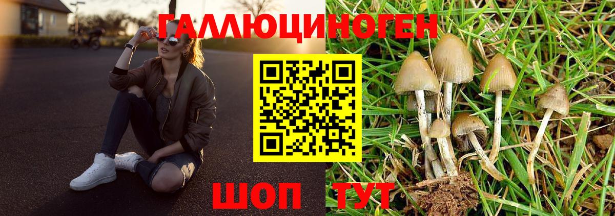 дарнет шоп  Псилоцибиновые грибы прущие грибы  Вход с VPN  Калининград 