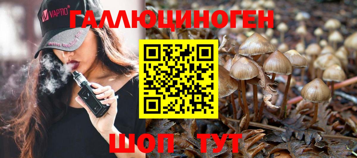 Псилоцибиновые грибы прущие грибы Калининград